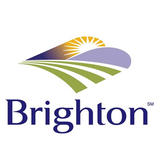 brighton long distance movers