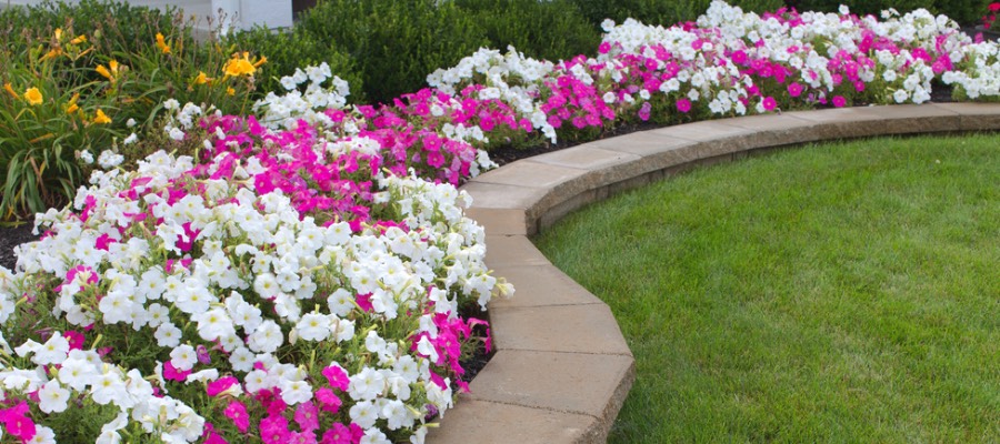 home landscaping
