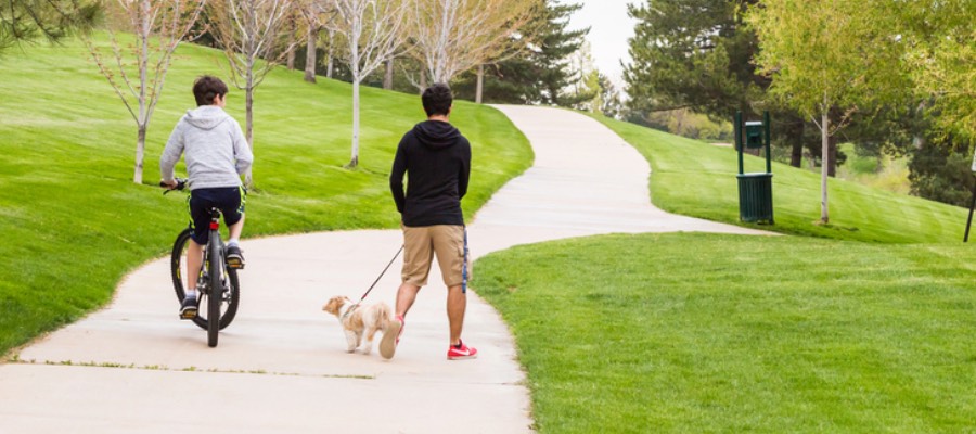 pet friendly denver