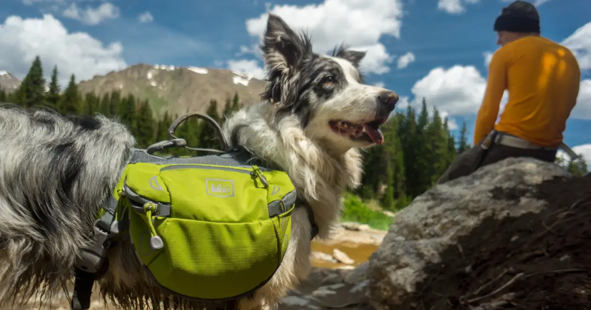 evergreen lake trail