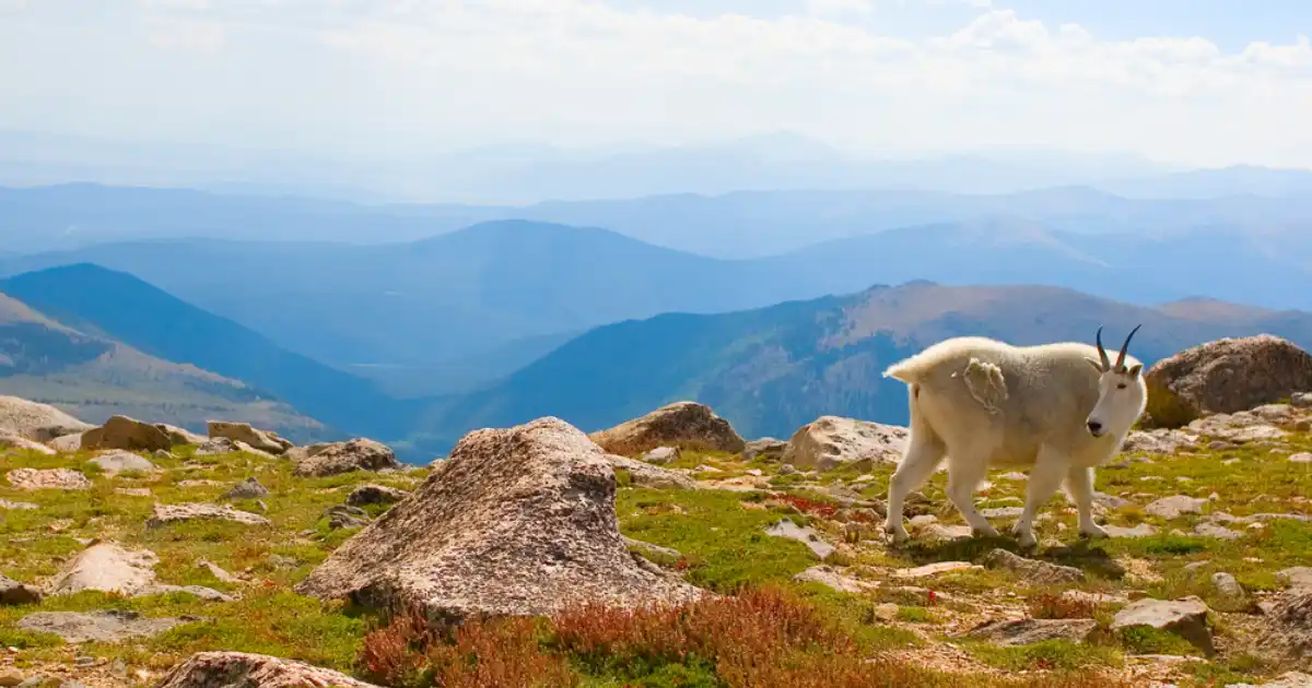 seasoned hiking trails Colorado 