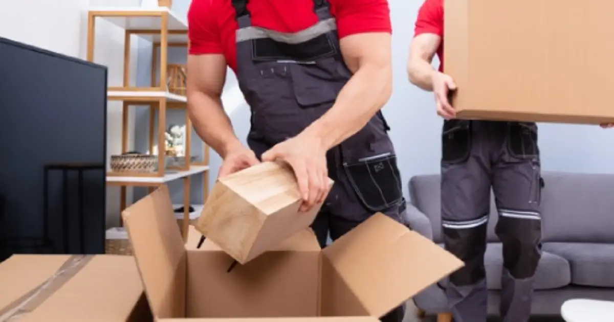 professional packing services