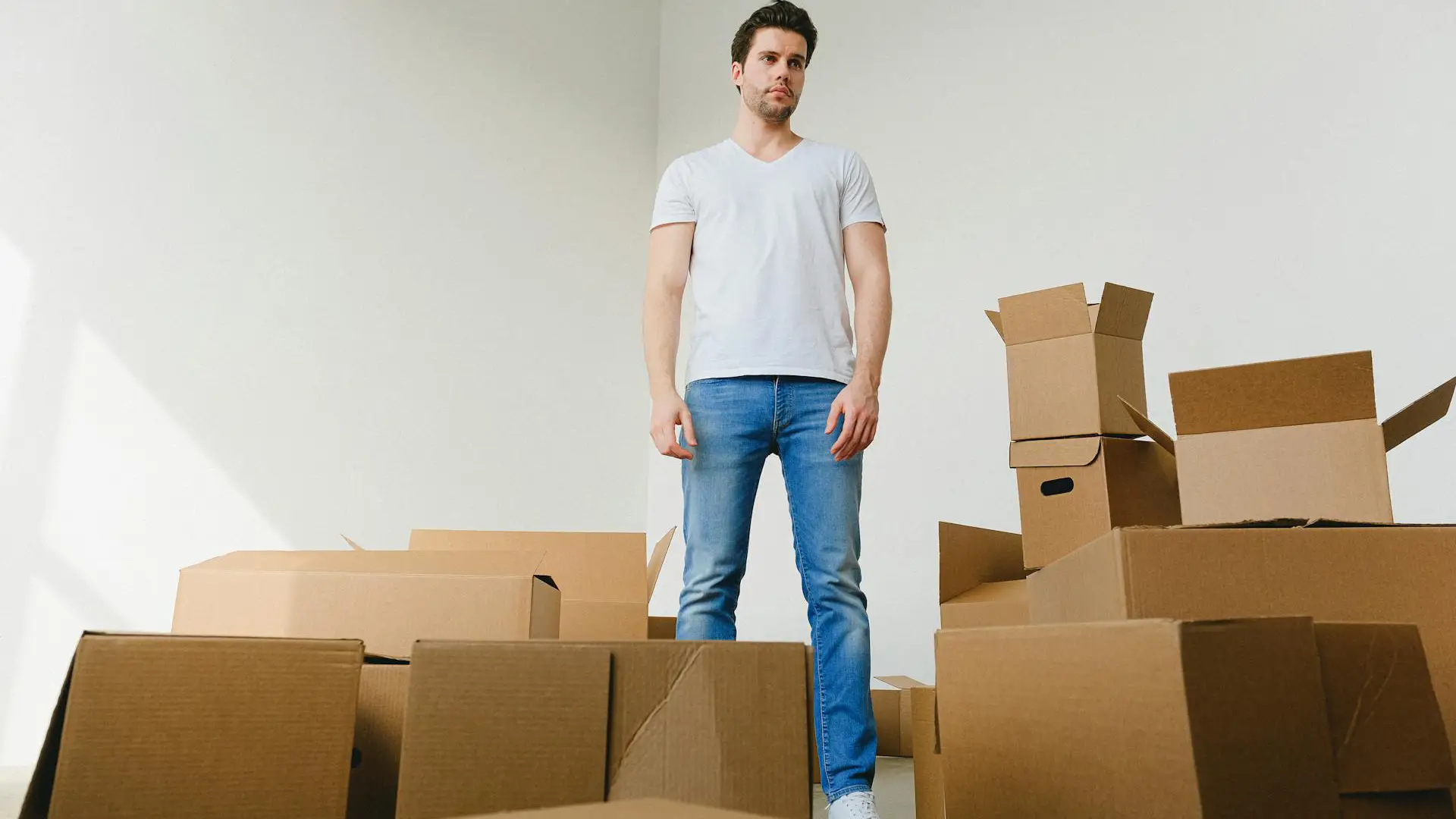 professional moving and packing services are available!